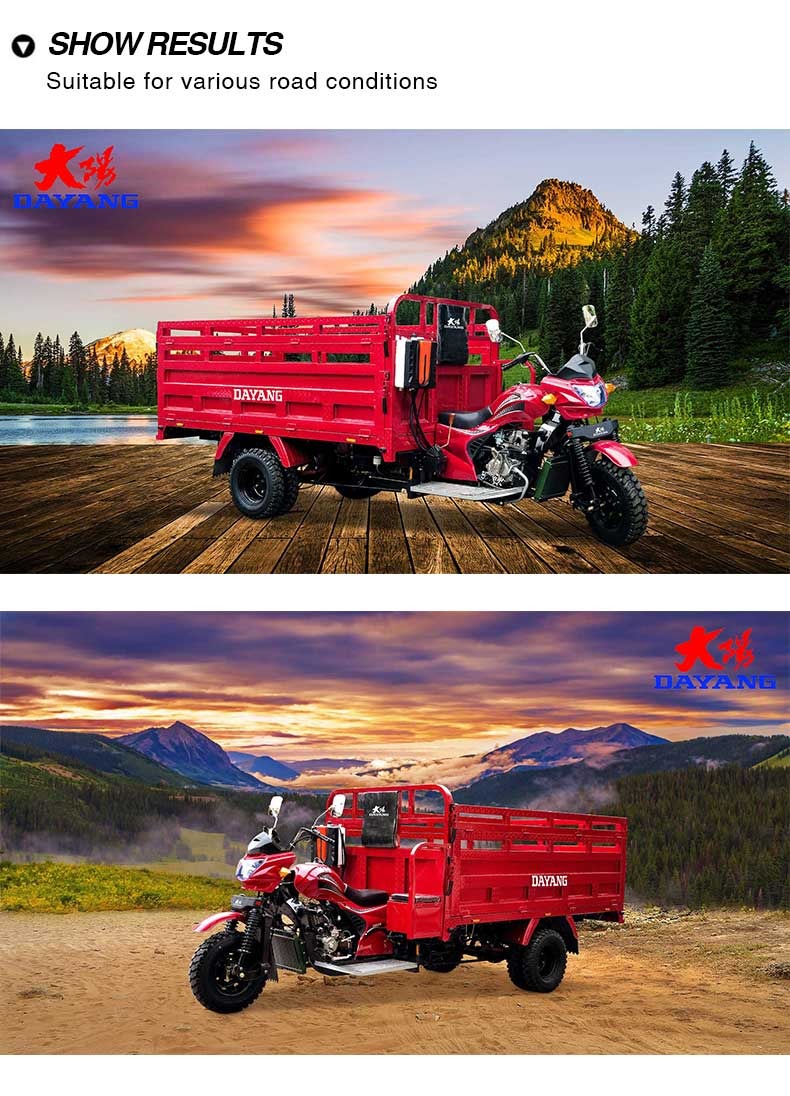 Certified Alibaba Gold 5 Wheels Petrol Motorized Cargo Tricycle with High Payload Capacity