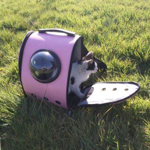  Waterproof Detachable Backpack Cat Carrier With Window Manufactures