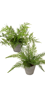 artificial plants