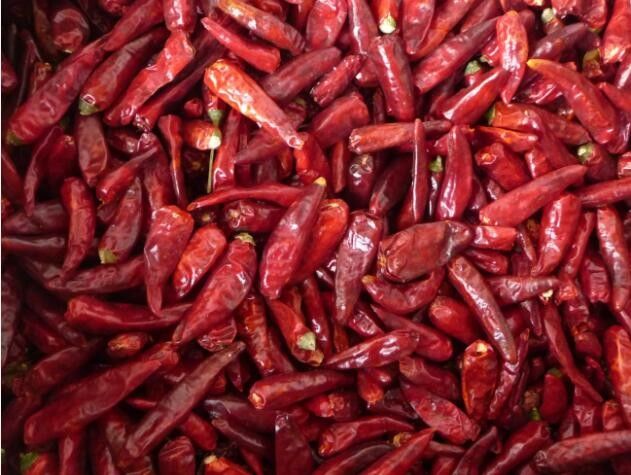 HALAL Whole Red Bullet Chilli Round 12% Moisture Anhydrous HACCP
