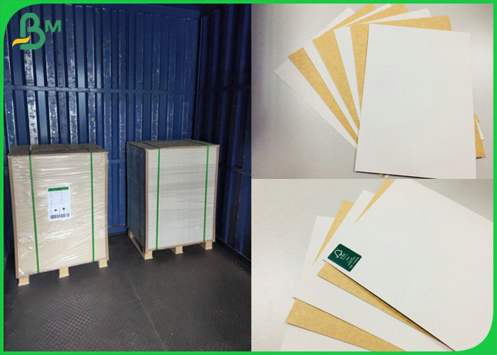 FSC Supported 250g 325g 365g Coated Kraft Paper Board For Food Box