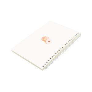 Art diy Spiral Bound Book custom spiral binding book printing