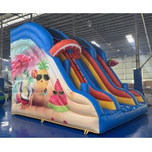  0.55mm PVC Commercial Inflatable Water Slides Renting Inflatable Slides Manufactures