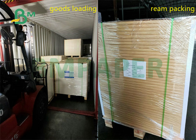 700 x 1000mm 500micron 600micron White GC1 HB Stiff Board For Gift Box