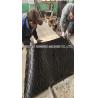 Buy cheap Mining Combined 1400mm Conveyor Belt Hot Joint Machine Vulcanizing Equipment from wholesalers