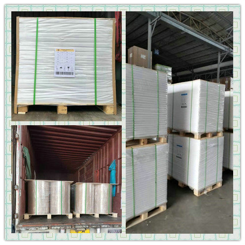 40GSM PE Coated White Kraft Paper Roll To Wrapping Meat Or Nut
