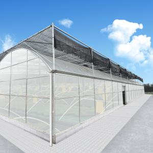  Climate Controller Polycarbonate Multi Span Greenhouse for Vegetable Production Manufactures
