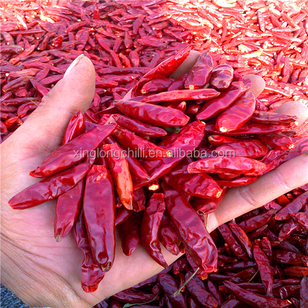 MUI/Kosher certified dried Tianjin red chili pepper
