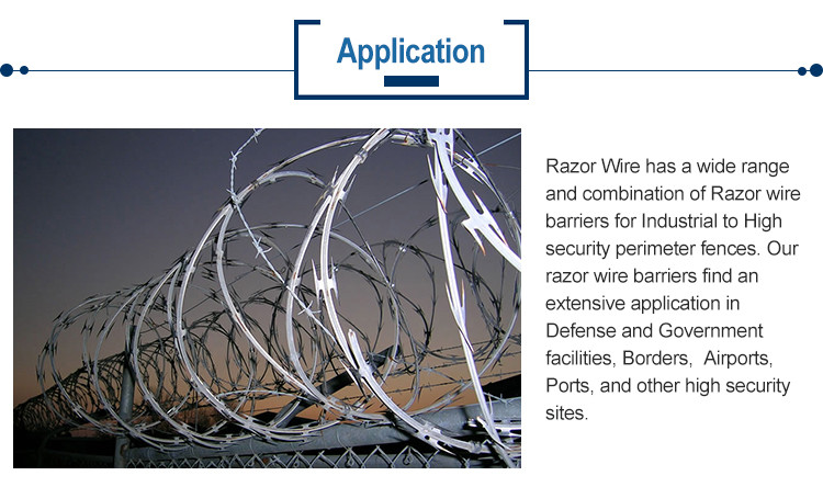 Hot Dipped Galvanized Concertina Razor Barbed Wire High Security BTO-22
