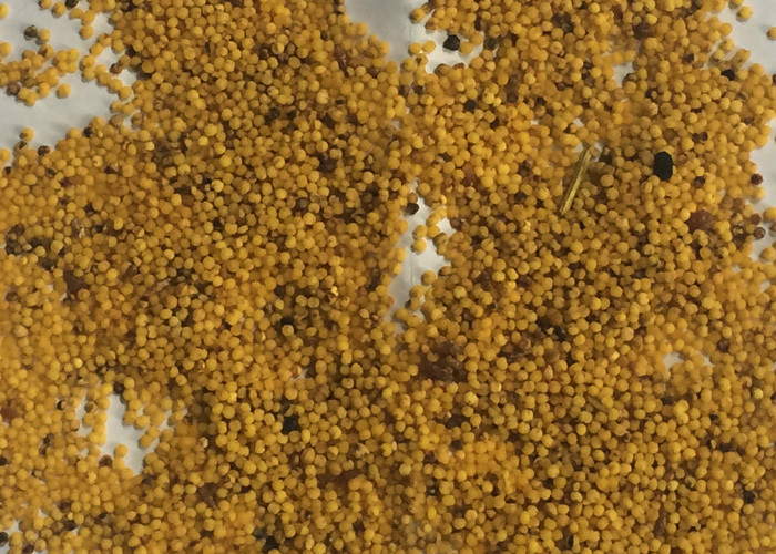 10 Channels Smart Yellow RGB Camera Grain Color Sorter Machine