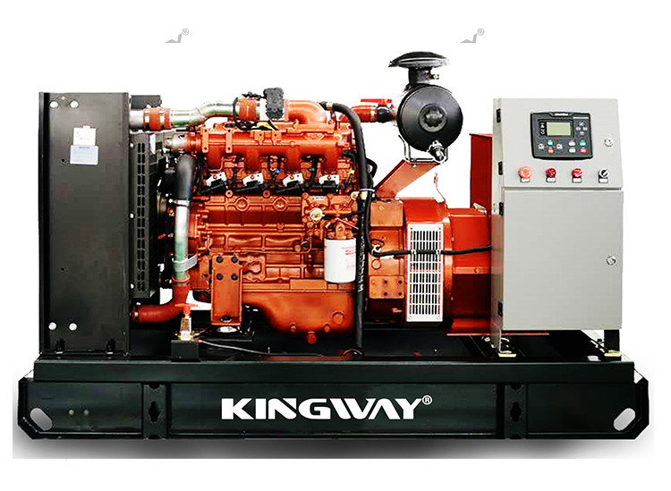 Silent NG Genaratort Top Quality LPG 50HZ 60HZ Generator Powered Silent Generator Direct Factory Supplier