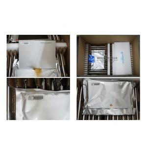 EJ080NA-05B Parallel RGB 8" INNOLUX LCD Screen 125PP1