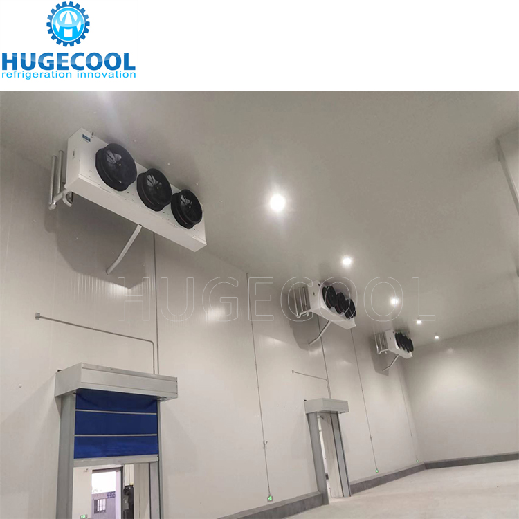 Large Freezer Cold Room For Vegetable Portable Refrigeration Unit