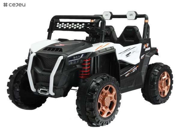 Powered Ride-On UTV with Ceiling,Kids Ride on Truck, Children Electric Ride on