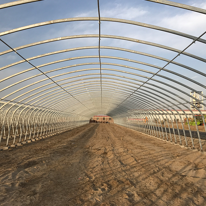Easy To Install Agricultural Greenhouses for Growing Flowers Vegetables and Fruits