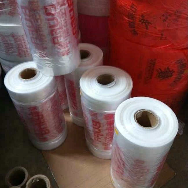 Dry Cleaning BUBBLE BAG,Made in China travel mini packaging foldable eco-friendly garment bag dry cleaning bag PROTECT