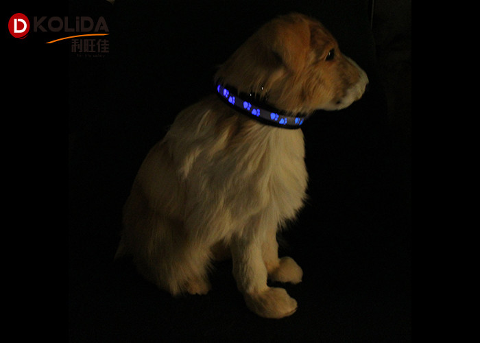 Outdoor Walking LED Dog Collar Waterproof Glow In The Dark Dog Collar
