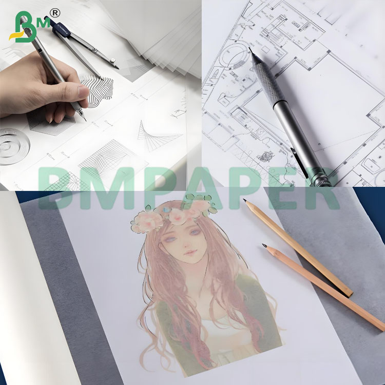80 gsm Semi Transparent High Stiffness Tracing Drawing Paper Roll