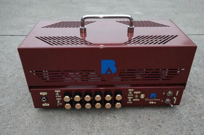 Rectifier Tube Guitar Amplifier Head 25W/10W with Jj Tubes Mesa Boogie Rectifier Style Metal Cabinet