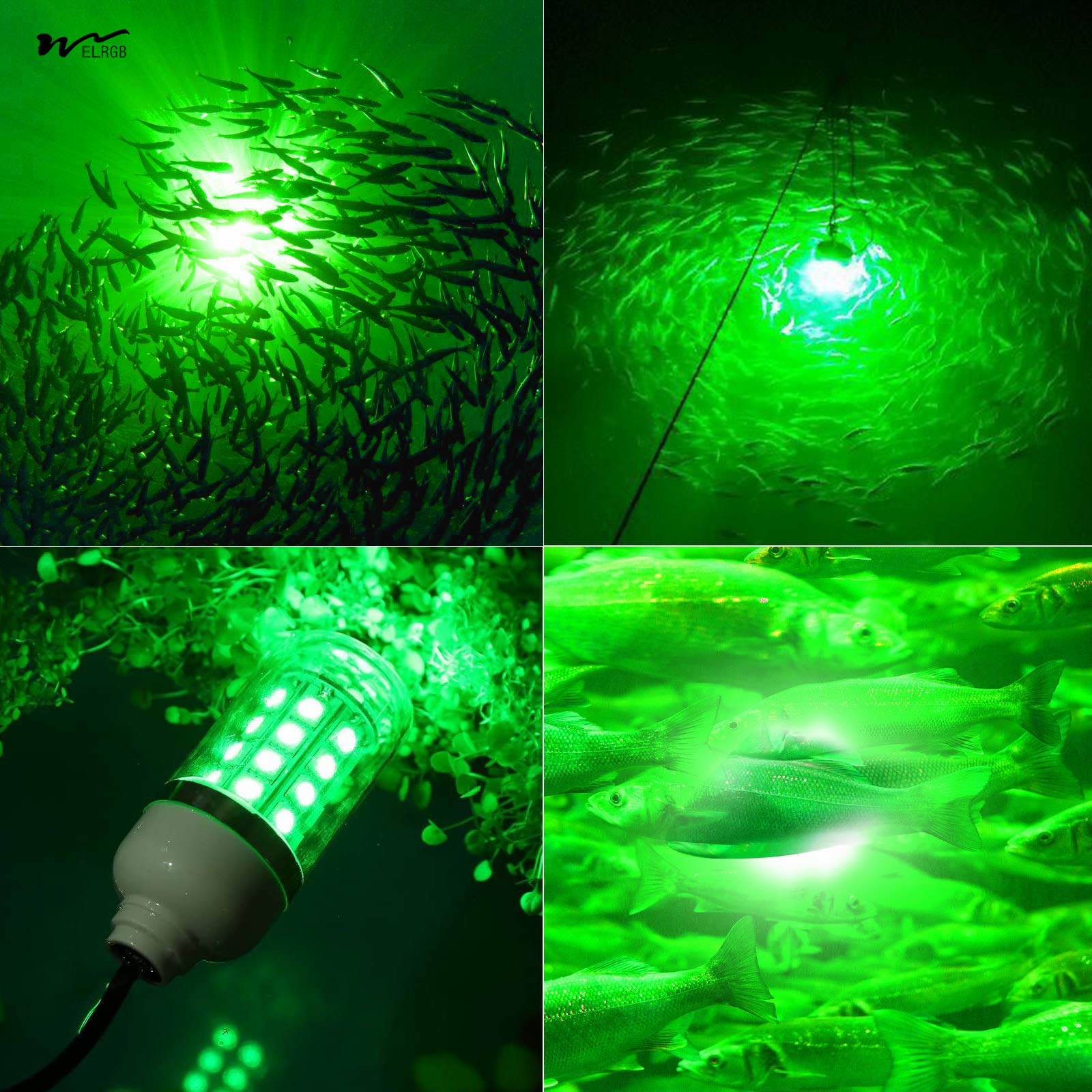 Acrylic Shade Material 12V 10W/45W LED Submersible Fishing Light for Squid and Shrimp