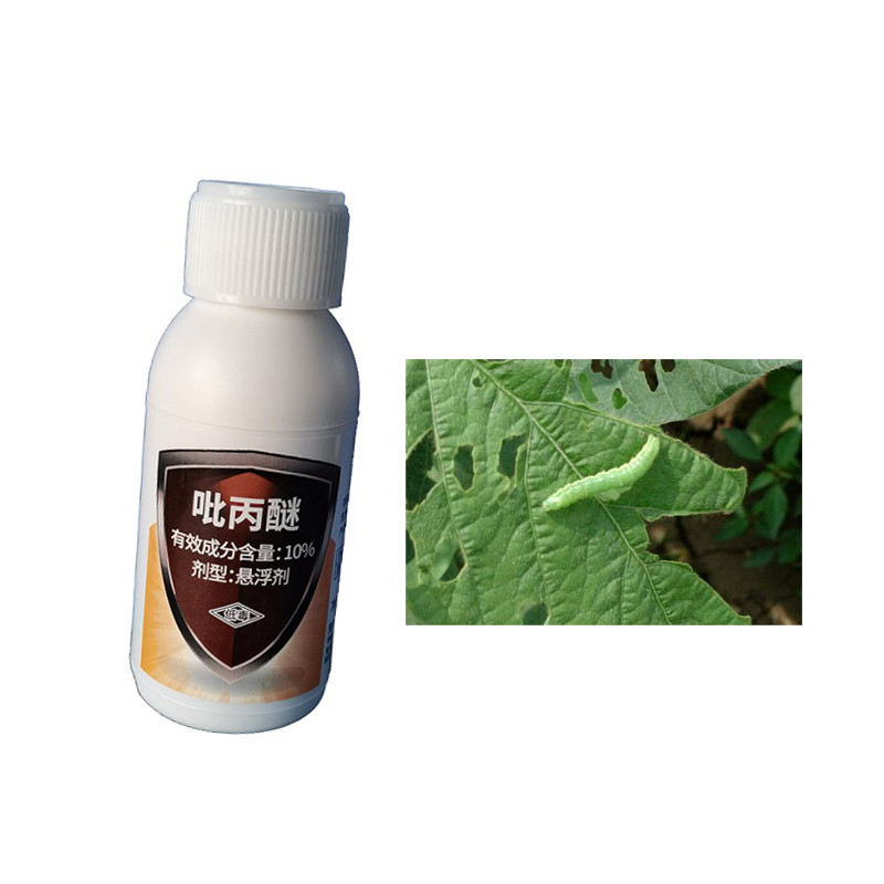 10% Pyriproxyfen Biological Pesticide Mosquito Insecticides Efficient to Kill Mosquito Larvae