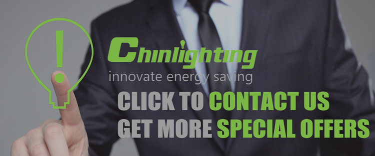 Chinlighting LED Copper Wire G40 String Lights 12ft with 12 Bulbs