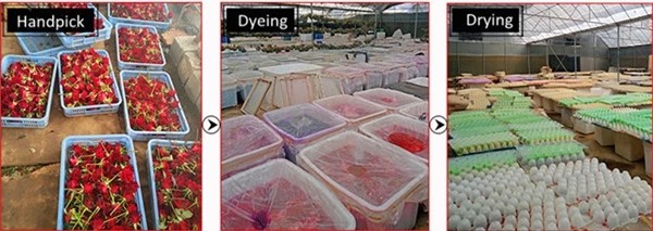 Natural Everlasting Preserved Flower Red Rose Gift Wood Photo Frame for Wedding Decoration gift