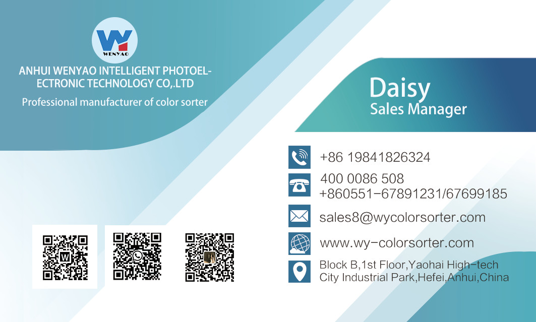 Wenyao Color Sorting Machinery PET PVC Flakes Plastic Color Sorter by Color Difference