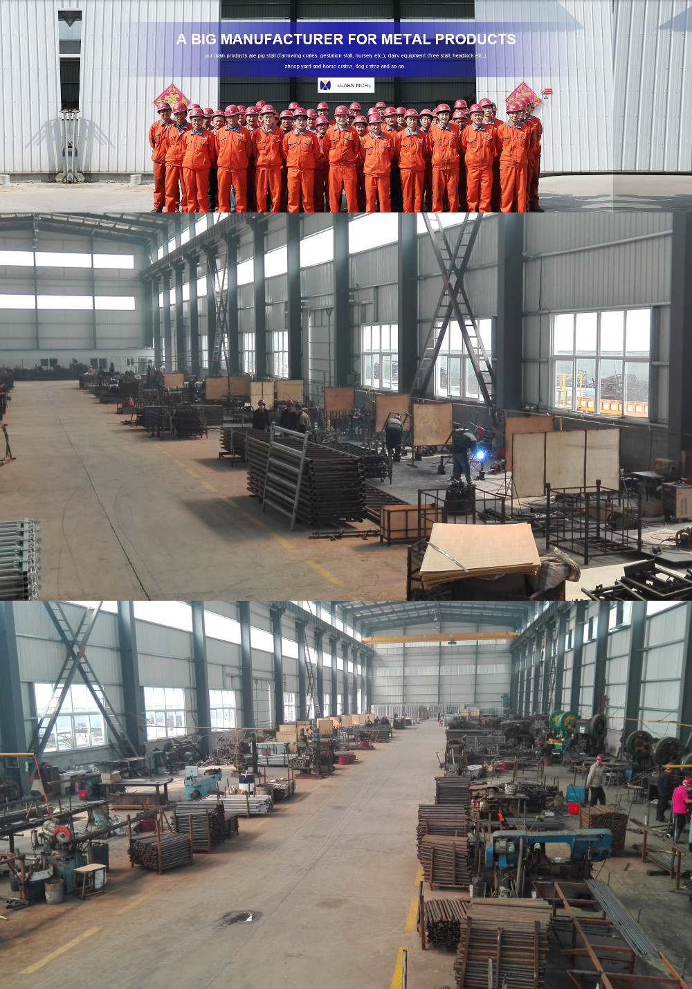 Heavy Duty Cattle Farm Equipment Sheep Weighing Scales ISO9001 Approval