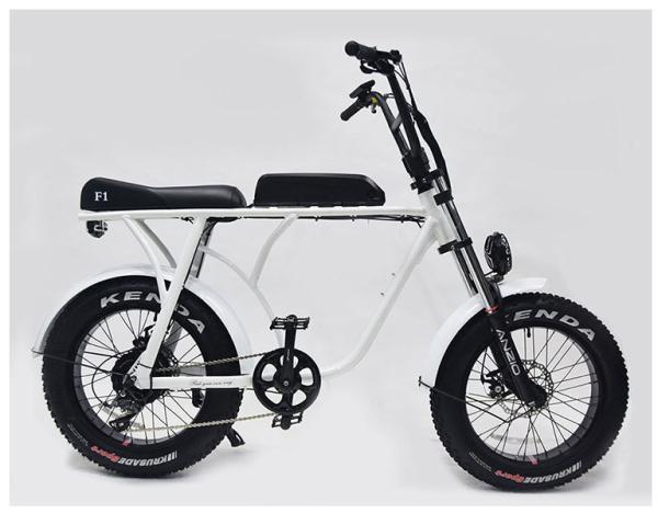 36v 20 Inch Fat Tire Ebike 350w Electric Bicycle 20 Inch Wheel 10ah Bafang 8fun