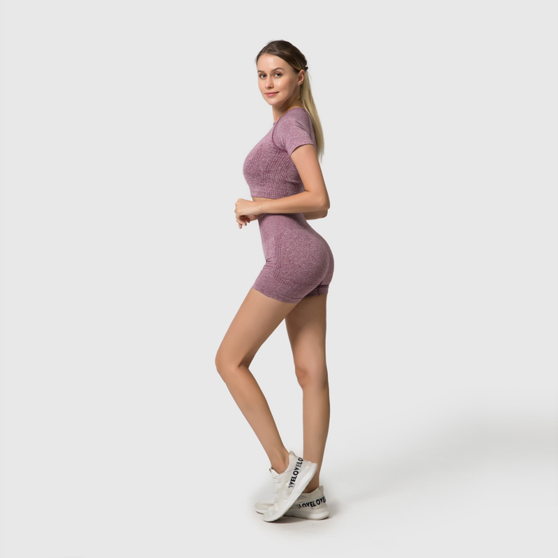 Yoga Breathable Seamless Sports Bra Leggings Stretch Fabric High Waisted Gym Leggings