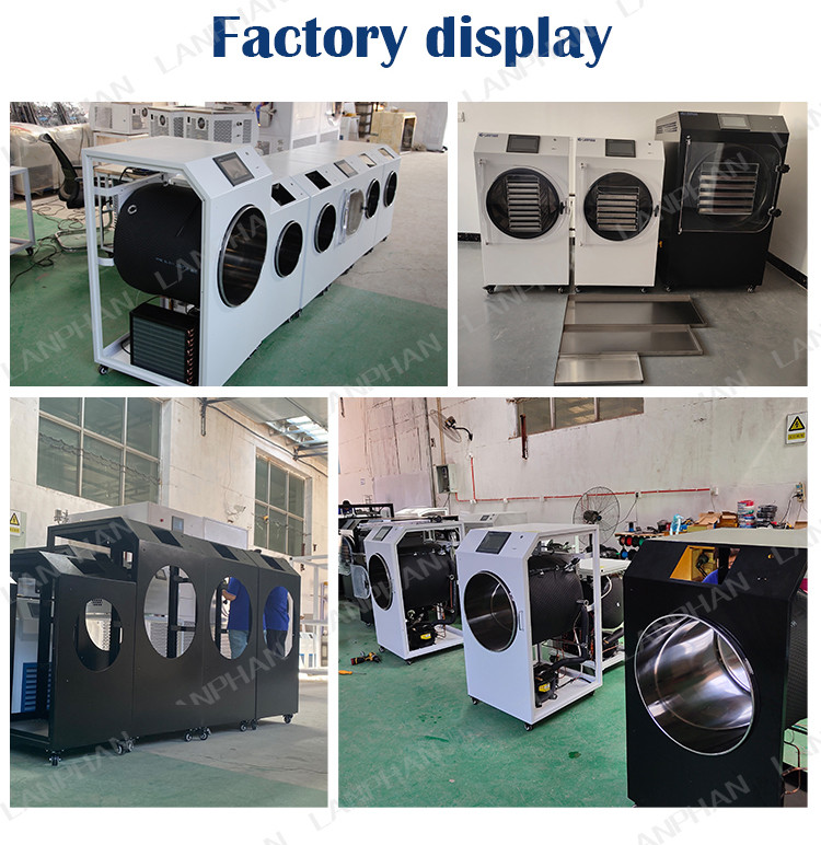 Lanphan Automatic Large Freeze Dryer 5m2 Freeze Dryer Machine For Meat Fruit Vegetables