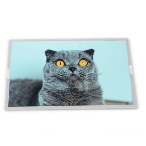  High Quality 7.0-Inch WLED stock Compatible LCD Display Module High Resolution 800*480 ODM TCG070WVLPAANN-AN00 Manufactures