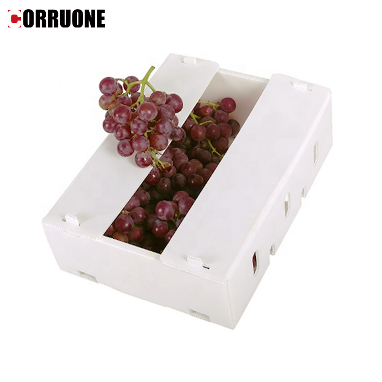 Polypropylene Honeycomb Boxes Plastic Coaming Box For Flour Rice