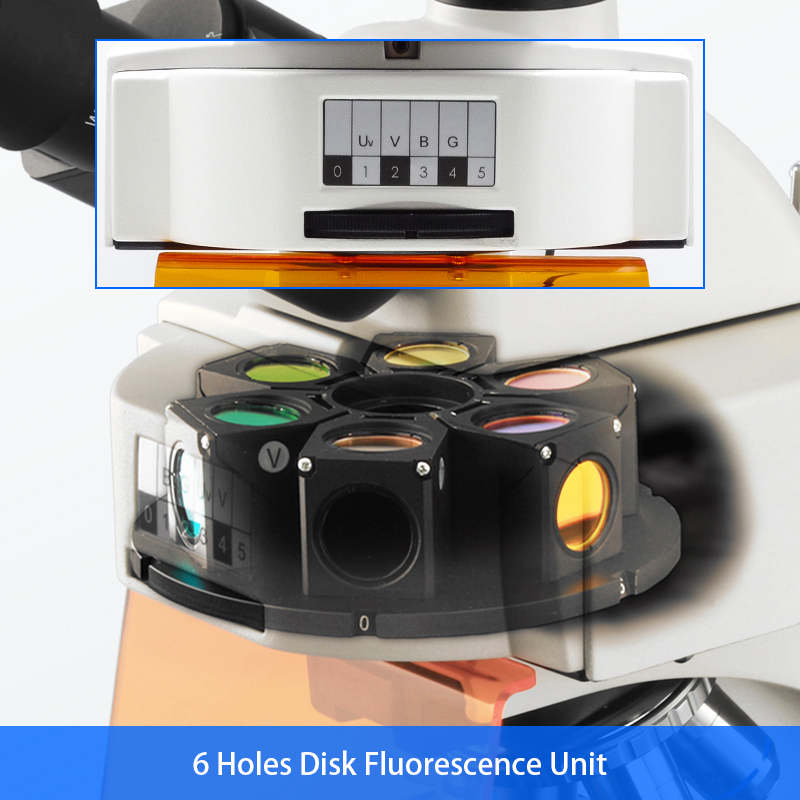 OPTO-EDU A16.2601 40x - 1000x LED Trinocular Fluorescence Microscope For Research / Learning