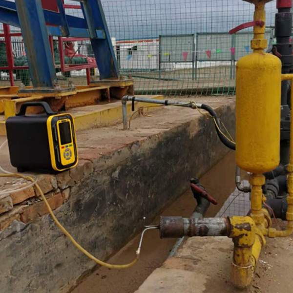 Six In One Portable Biogas Analyzer for Gas Station Built in mini printer
