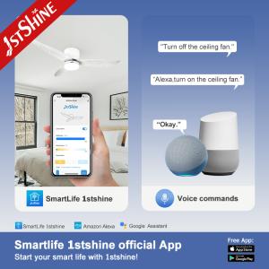 Low Ceiling 52 Inch LED Ceiling Fan with Smooth Operation and Flush Design