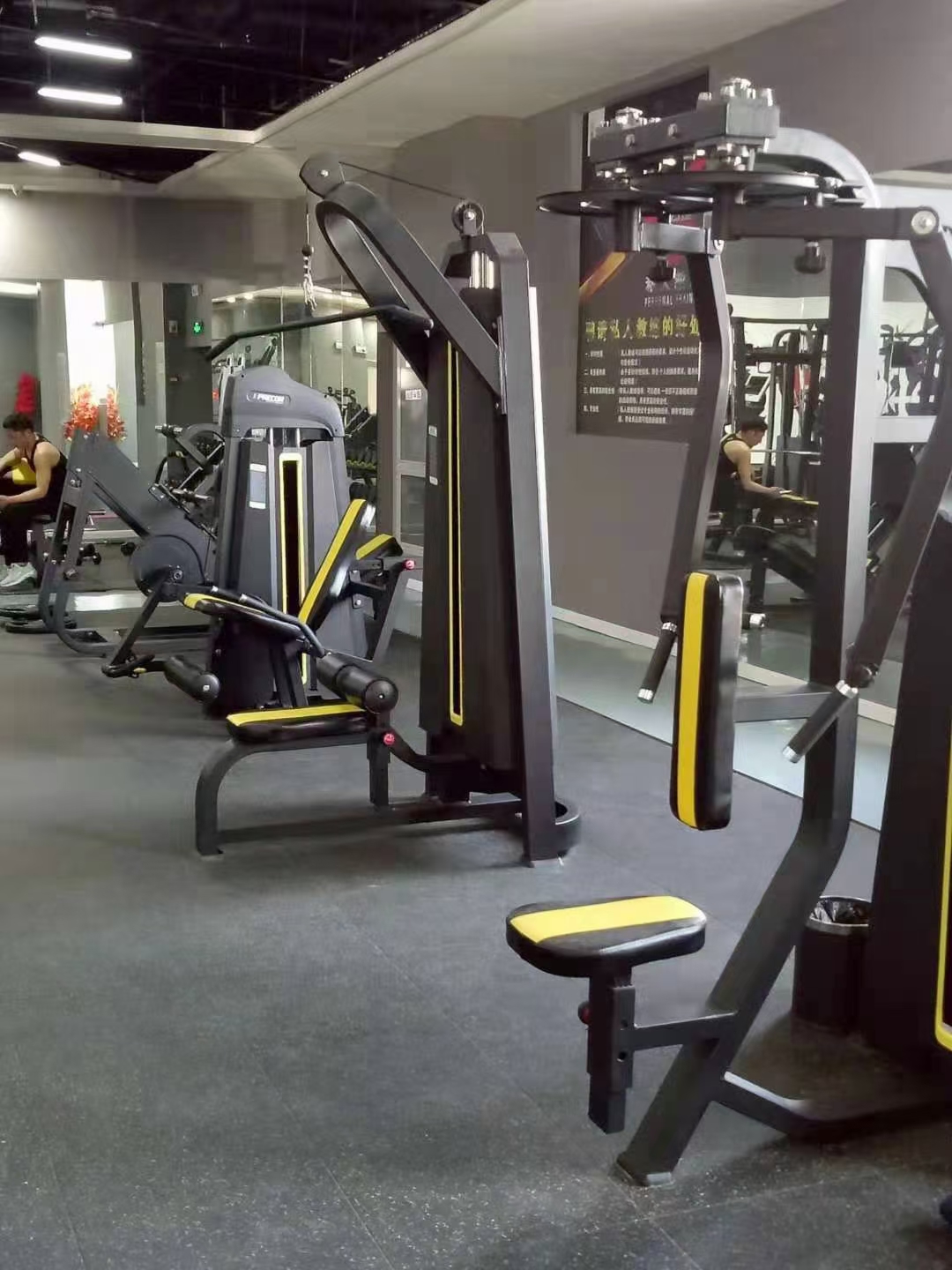 Befreeman Wholesale Professional Commercial Body Building Equipment Seated Back Row Machine