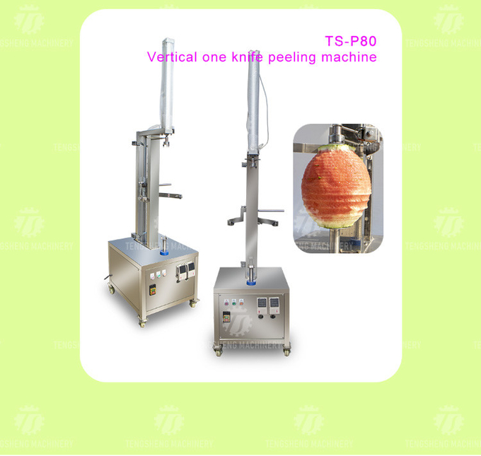 1.0KW 120KG Direct selling vertical single knife peeler pumpkin peeler stainless steel
