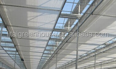 Customized Size Film Covered Poultry Farm Greenhouse Length 30-100m with Film Cover