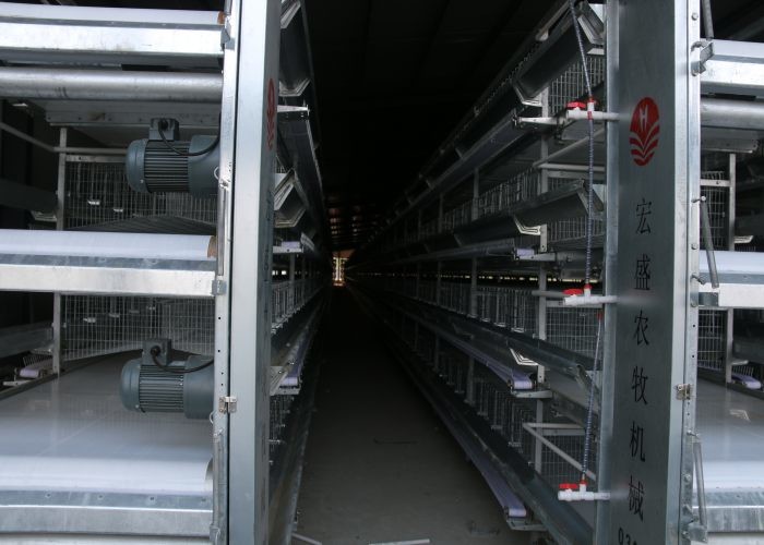 Professional Poultry Brooder Cages Poultry Keeping Machinery Silver Color