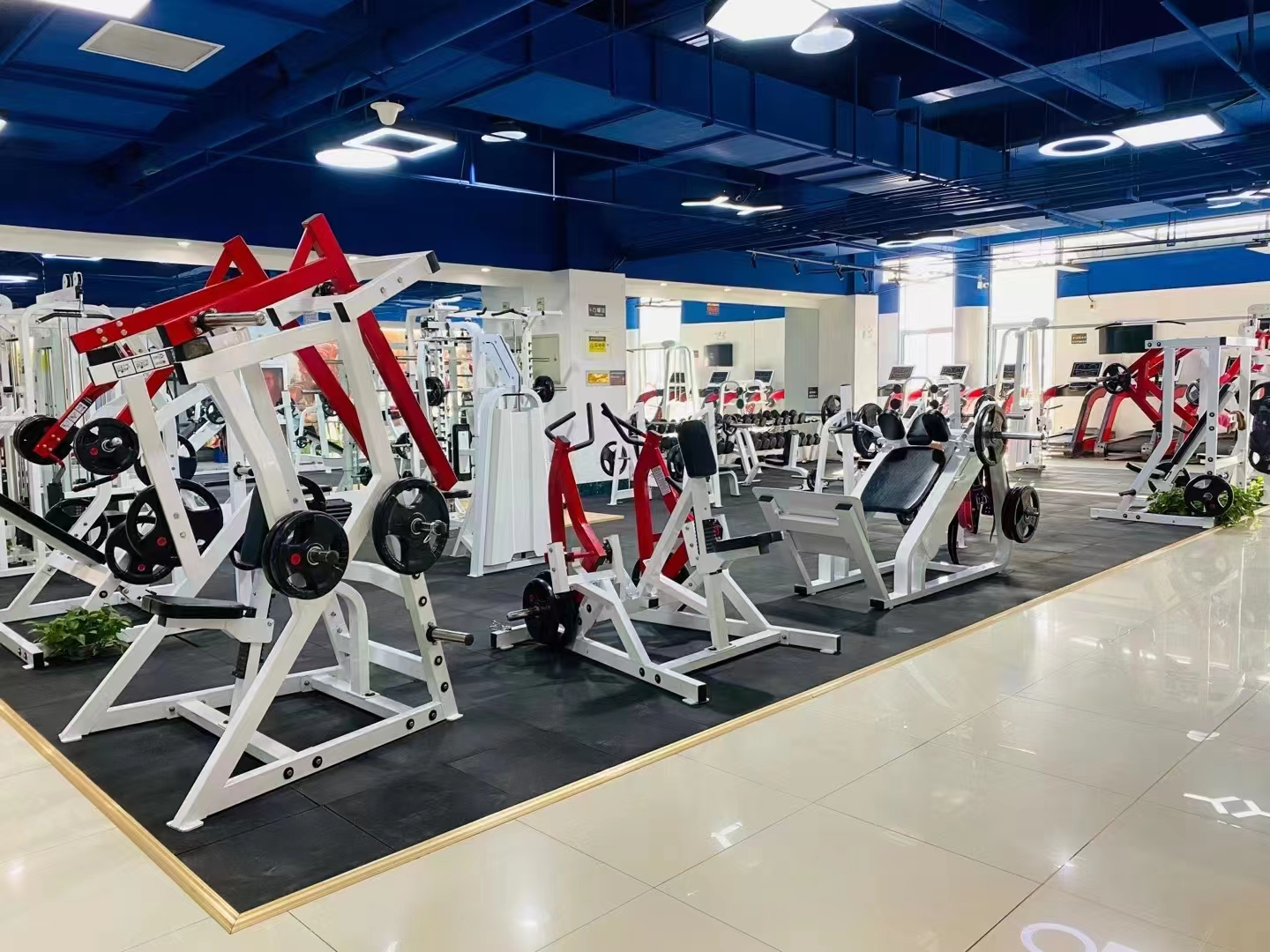 Strength Heavy Duty Commercial Gym Fitness Equipment Multi Smith Machine