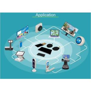 Kingpins Customize TFT LCD 12.3 Inch 1920*720 Program LCD Display Module for Car