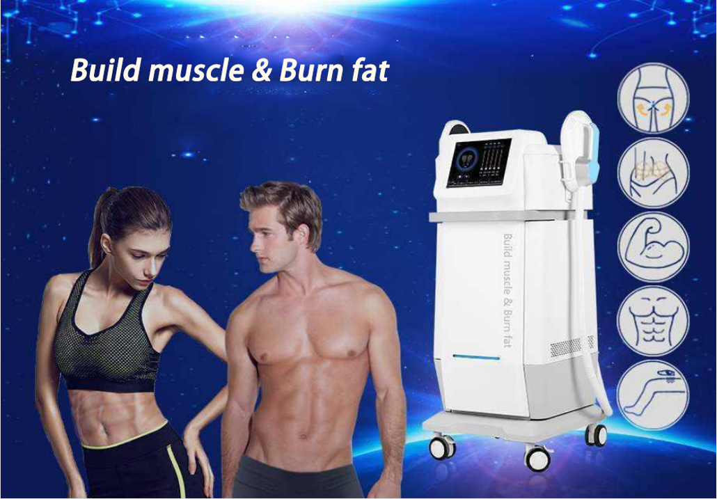 Electric EMS Sculpting Machine Commercial Professional Muscle Stimulator Machine 230V