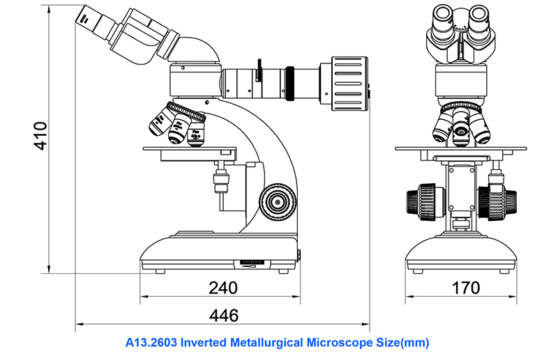 WF10X Eyepiece Binocular Student Optical Microscope ABBE NA1.25 Condenser