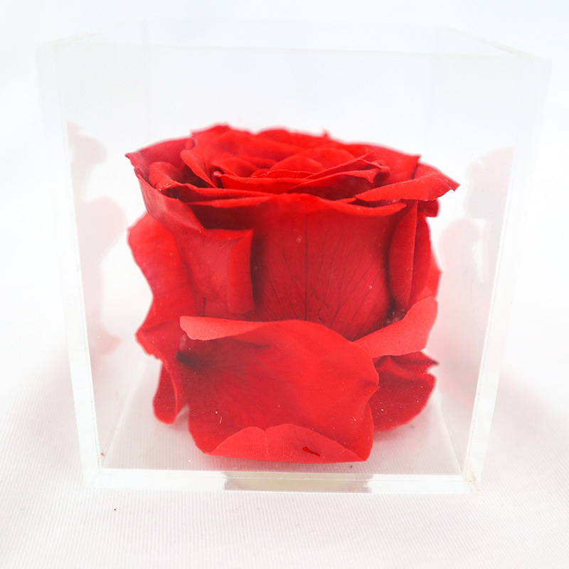 Decorative Beautiful Preserved Rose Flower With No Pollen / No Allergy