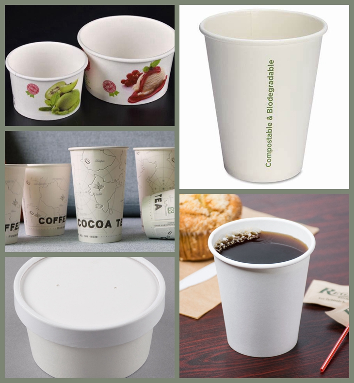 polycoated cup stock paper