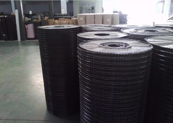 Galvanized Pvc Coated Welded Wire Mesh Gauge 16 Hardware Cloth 1 X 2