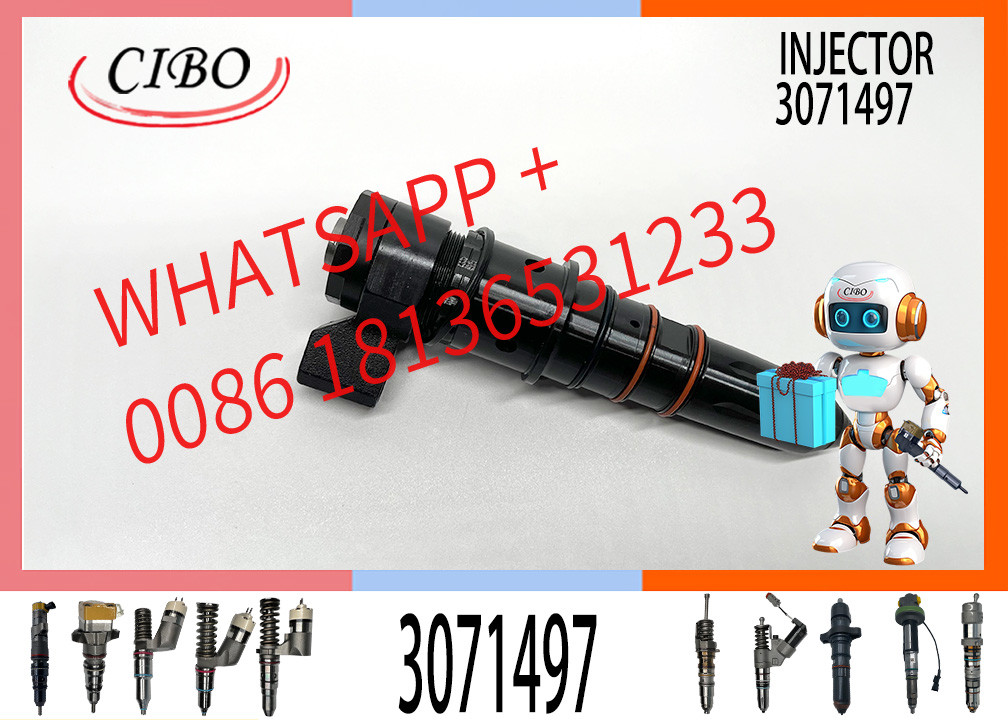 Wholesale NT855 G4 NT855-G4 NT855 NTA855 Fuel Injector 3071497 3064457 3071494 for cummins