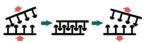 3M High Strength Adhesive Mushroom Hooks And Loops Fastener Tape